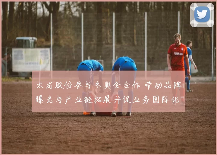 太龙股份参与冬奥会合作 带动品牌曝光与产业链拓展并促业务国际化