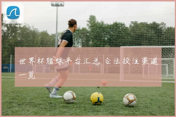 世界杯赌球平台汇总 合法投注渠道一览