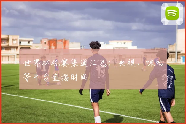 世界杯观赛渠道汇总:央视、咪咕等平台直播时间