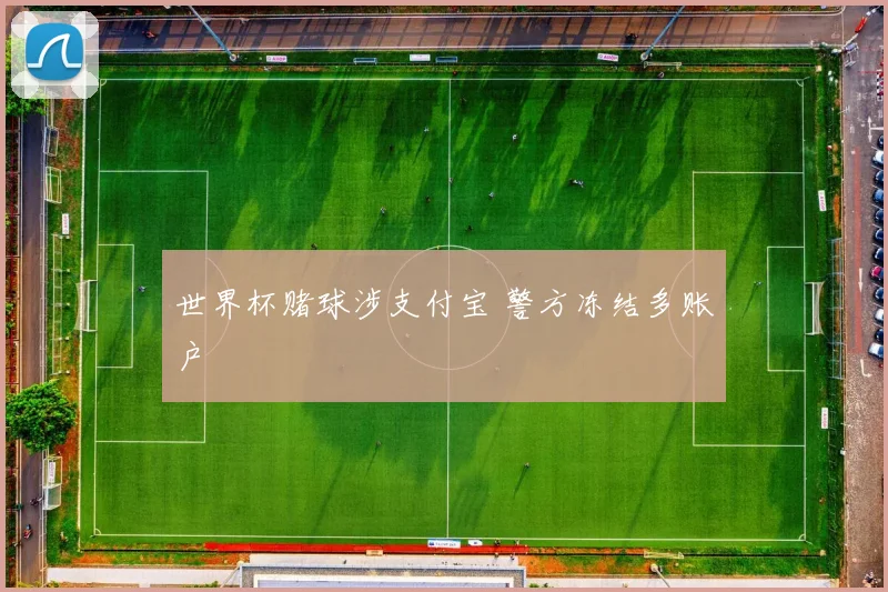 世界杯赌球涉支付宝 警方冻结多账户