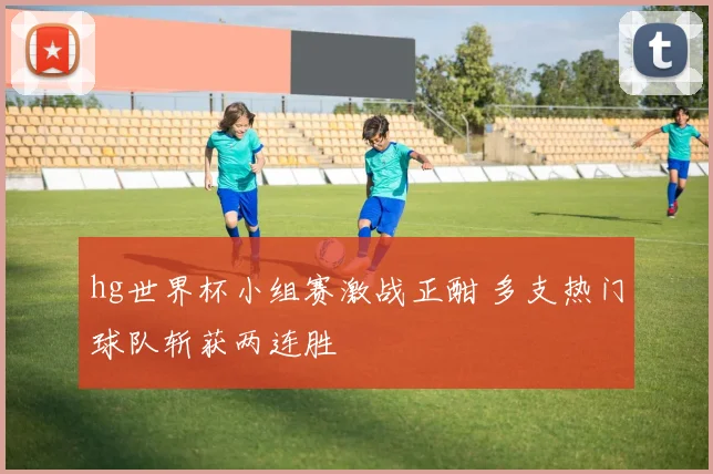 hg世界杯小组赛激战正酣 多支热门球队斩获两连胜