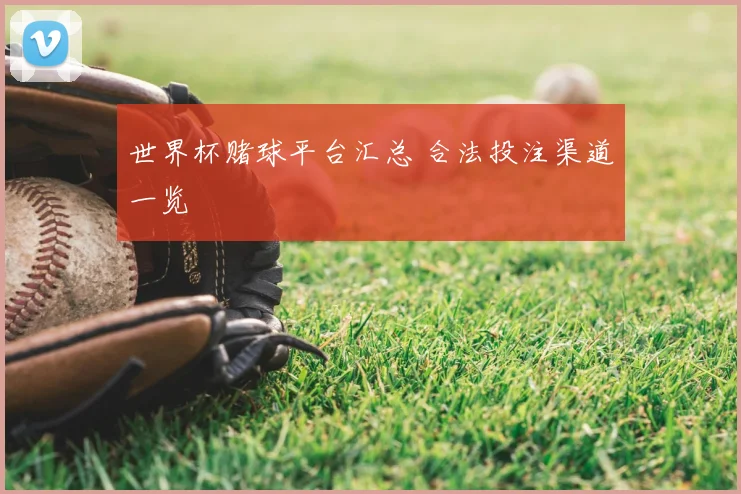 世界杯赌球平台汇总 合法投注渠道一览